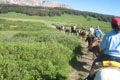 Wyoming Brooks Lake Horses